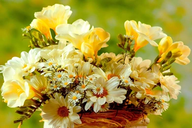HD Wallpapers 1080p Bouquet 3.jpg