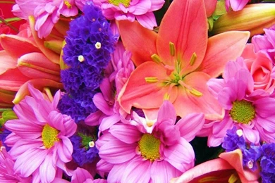 Colorful flower wallpaper designs 780.jpg