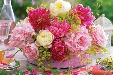 Flower Photos: February 2012