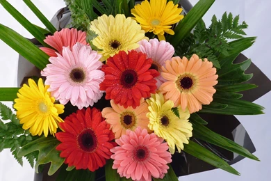 Bouquet Flowers Wallpapers HD (37)