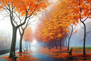 Beautiful Rain HD Wallpapers For Desktop