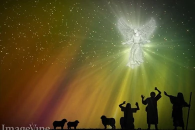 The Christmas Story Backgrounds