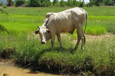 2560x1920 Desktop Wallpapers