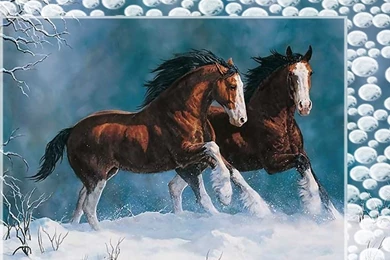 Horses: Snow Kings Horses F5 Equine Painting Chris Cummings Animal ...