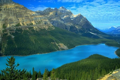 Gallery For   Full Hd Nature Wallpapers 1080p