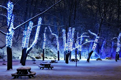 Best Christmas 2013 Christmas (id: 167314) – BUZZERG