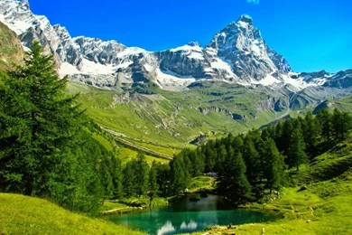 Hd Nature Wallpapers, Natural Images, Flowers, Green, Cute Desktop ...