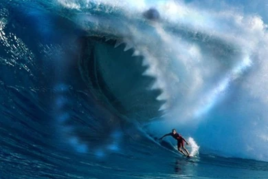 Shark Ocean Wave Surfing iPad Wallpapers HD