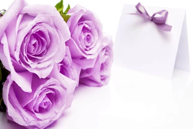 Free Flower Wallpaper Backgrounds   Wallpapers Cave