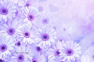 Flower Backgrounds Design Images