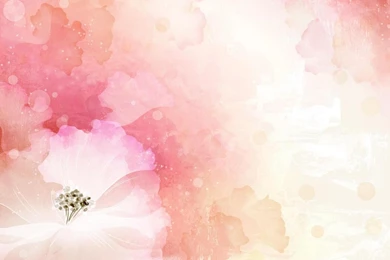 Lucretia S Blog Wedding Flowers Hd Backgrounds