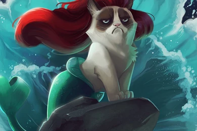 Download Wallpapers 2048x2048 Cat, Mermaid, Cartoon, Grumpy Cat New ...