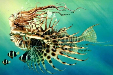 Mermaid Computer Wallpapers, Desktop Backgrounds