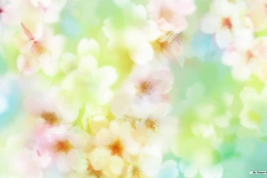 Flowers images images free wallpaper.jpg