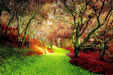 Cool Autumn Backgrounds