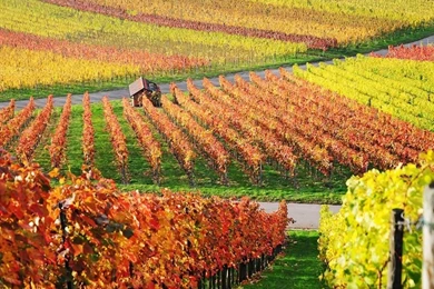 Cool Autumn Wallpapers