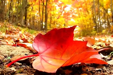 Cool Backgrounds Pictures For Desktop Is Easy To Obtain: Cools By ...