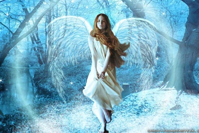 Christmas Angels Wallpapers   Crazy Frankenstein