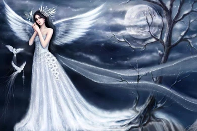 WINTER S SNOW ANGEL WALLPAPER   (