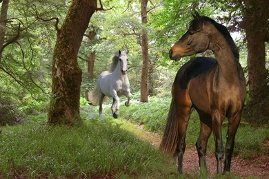 Good Morning Facebook Friends Wallpapers Image Nature Mountains ...