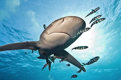 Astronomy Wallpapers 1920 X 1200 HD   Pics About Space