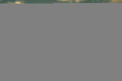 Nature Wallpapers   Sky, Black, Darkolivegreen