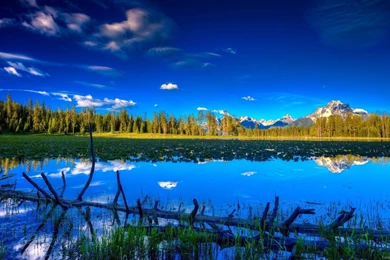 Vector Illustration Of Happy Family For Mac (id: 121134) – BUZZERG