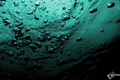 Bubble Wallpaper Backgrounds Free Downloads