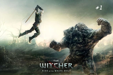 The Witcher 3 Cover Video Games Wallpapers Imag