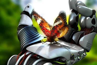 Desktop 3d hd animals wallpapers download.jpg