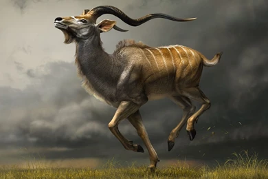 Animated Animal Wallpapers   , New Wallpapers, New Wallpapers