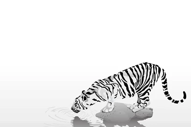 3D Wallpapers Animals Sorğusuna Uyğun şekilleri Pulsuz Yükle ...