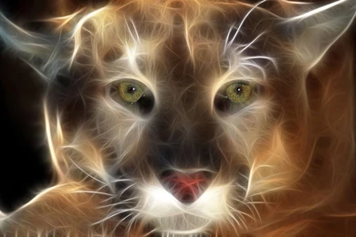 Pics Arrena: 3d Animal Wallpapers