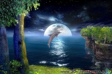 3d Images Of Animals