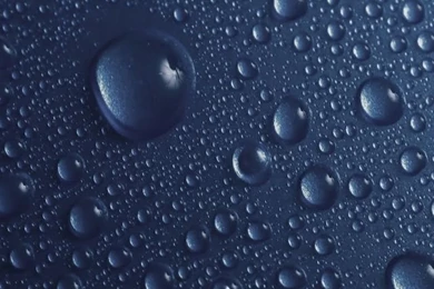 iPhone 5 Live Wallpapers   HD Wallpapers_iPhone Wallpapers, iPhone ...