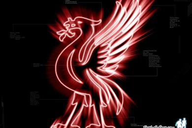 Liverpool Fc Bird Logo Wallpapers Football Hd Liverpool Emblem ...