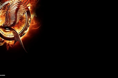 Hunger Games Catching Fire Wallpapers 209480
