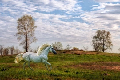 Wallpapers Painting White Horse Running 1920 X 1080 Full Hd   1920 ...