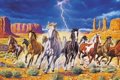 Stampeding Horses On Pinterest