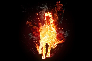 Fire Horse Wallpapers 203785