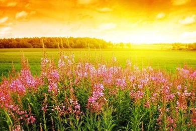 Summertime Desktop Backgrounds: Autumn By Free Download Best HD ...