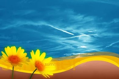 Free Summertime Desktop Backgrounds   File Name ...