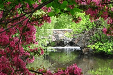 Nature Wallpapers Desktop Backgrounds