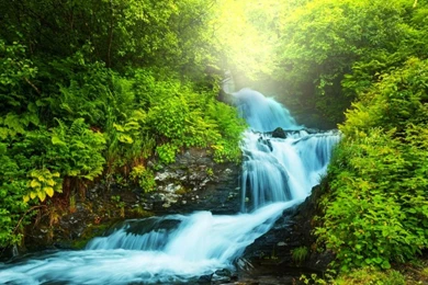 Hd Nature Wallpapers, Landscape, Natural Images, Flowers, Nature ...