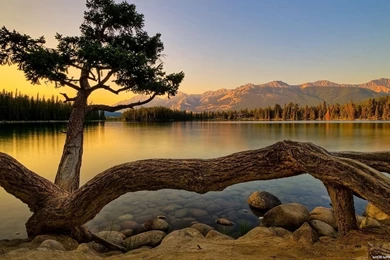 Nature Wallpapers Hd For Desktop Free Download