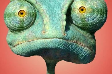 Rango Movie HD Desktop Wallpapers : Widescreen : High Definition ...
