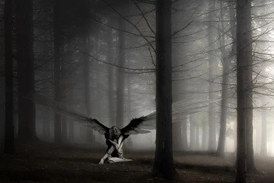 Dark Wings In The Forest Tablet Phone Wallpaper Backgrounds   Album ...