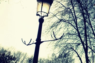 Light In The Dark HD Desktop Wallpapers : High Definition : Mobile