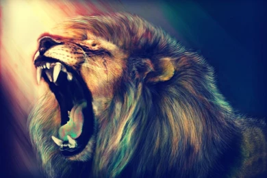 Lion Computer Wallpapers, Desktop Backgrounds