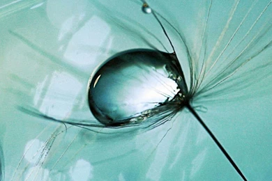 1080x1920   Android Live Wallpapers, Android Wallpapers, Android ...